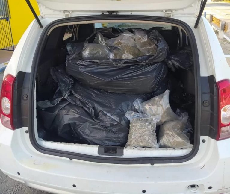 EM SERTÂNIA HOMEM É PRESO 24 KILOS DE MACONHA E 10 KILOS DE SKUNK