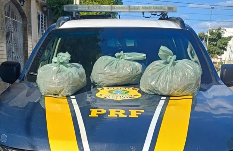 NA BR 232 EM SERTÂNIA PRF APREENDE MAIS DE 10 KG DE ‘SUPERMACONHA’ DURANTE FISCALIZAÇÃO